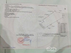 mở bán khu phân lô, giá f0. cây thông ngoài - phú quốc