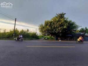 19 công Mặt Tiền QL 91 Ô Môn