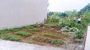 111m đất cổ bi gia lâm - giá chỉ nhỉnh 6 tỷ