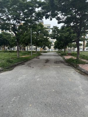 chính chủ bán đất viglacera yên phong. vỉa hè 3m - đường 13m. dt: 80m2, mt: 6m. giá: 2,65tỷ có tl