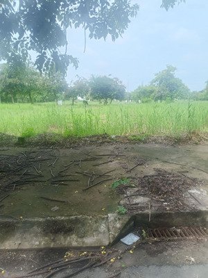 chính chủ cần bán nền full thổ cư + giá tốt nhất khu vực