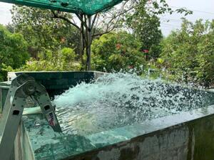 Giá 16,5 tỷ TL. Bán 5646m mặt tiền đường Long Chiến, Bình Lợi, Vĩnh Cữu. Sổ thổ cư.