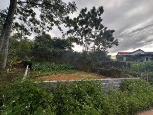 cần bán đất thổ cư đông yên, quốc oai, giá chỉ 6,5 tr/m2. đất rộng chia lô