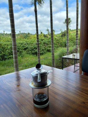 vườn sầu riêng thu mạnh nghỉ dưỡng. nhà sàn, ao, thế nhà "tả thanh long hữu bạch hổ". 3,9tỷ/0,8ha
