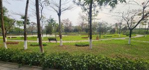 cho thuê biệt thự splendora an khánh - lakeside villas, 306m2, có thang máy. nhà đẹp, gần ngay hồ