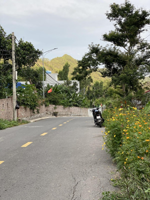 chuyển nhượng lô đất vuông vắn cực đẹp, xã trân châu, đảo cát bà,cát hải. vị trí xây nghỉ dưỡng đẹp