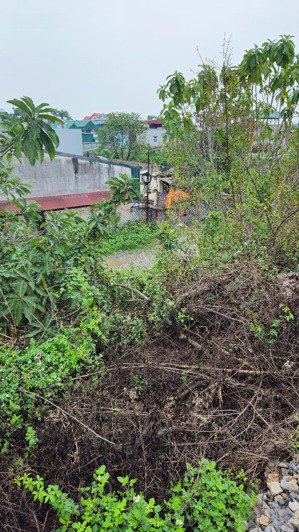 cho thuê đất để làm sân bãi, để xe, để vật liệu xây dựng, đất chính chủ phường ngọc châu, gần big c