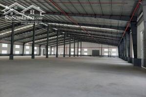 Cho thuê kho chứa hàng Sóng Thần 1, Dĩ An, Bình Dương