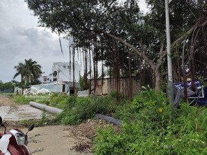 bán đất thổ cư đường vườn lài, phường an phú đông, quận 12