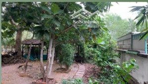 hàng ngộp. siêu rẻ. hxh đường long phước. p. long phước. quận 9.