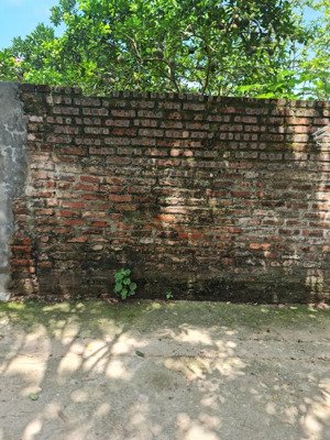 bán đất đẹp - ngũ hiệp, thanh trì dt 73,3 giá 5,6 tỷ