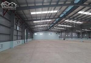 Cho Thuê 5.900m2 Nhà Xưởng Trong KCN TP Mới Bình Dương PCCC Tự Động