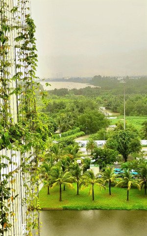 cần bán gấp căn hộ 1 pn full nội thất cao cấp view sông tắc. giá chỉ 3.6 tỷ còn tl