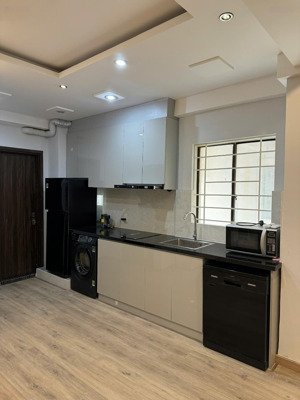 bán căn hộ 1pn chung cư h1 đường hoàng diệu, phường 8, quận 4 diện tích : 48m2 1pn 1wc nội t