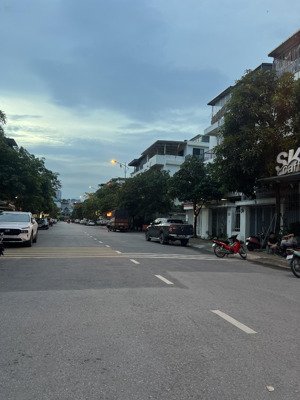 nhà phân lô,biệt thự lk hoàng mai,ô tô đỗ cổng,gần nhiều tiện ích,vừa ở vừa kinh doanh,giá hợp lý