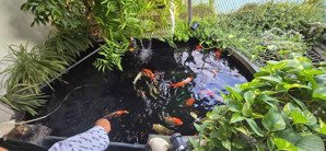 bán căn dốc tam đa - vị trí đẹp, ngõ thông, nhà 2 mặt ngõ, rất gần đường ô tô tránh, mất 5