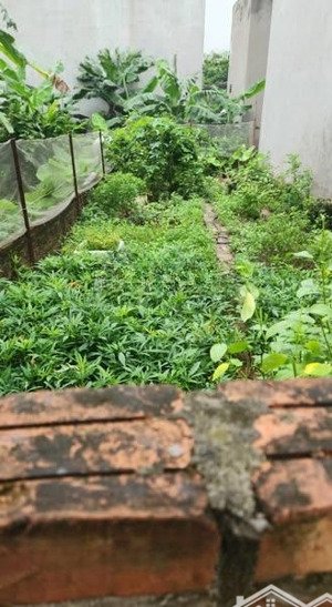 35m lô đất đẹp tổ 14, đường yên hòa, yên nghĩa 10m ra ô tô tránh giá rẻ nhất khu vực