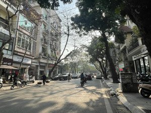 (hiếm) bán tòa nhà mặt phố hòa mã phường phạm đình hổ - hai bà trưng, 115m2 x 10 tầng, 105 tỷ