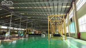  CHO THUÊ NHÀ XƯỞNG CAO CẤP 19.800M2 TRONG KCN TẠI ĐỨC HÒA, LONG AN 