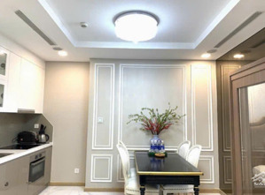 cho thuê căn hộ 1pn vinhomes toà landmark 81 full nội thất cao cấp