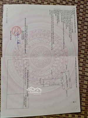 cực phẩm lô góc 65m2 mặt đường trục bạch mai, đồng thái, an dương