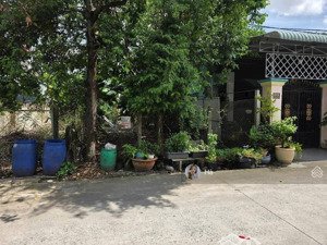 cắt lỗ bán nhanh lô đất thổ 151m2 mặt tiền 12m ngay ql 22 tân an hội, củ chi