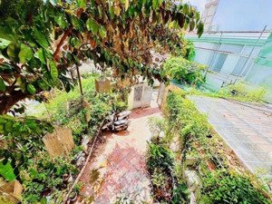 cho thuê nhà biệt thự sân vườn nam kỳ khởi nghĩa.phường võ thị sáu. quận 01. dt:17mx20m. 3 tầng