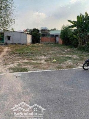 bán đất tại phú chánh, tân uyên, bình dương, gần chợ phú chánh, 300m2,1tỷ250, làm trọ, nhà vườn.