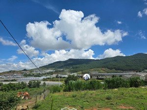 cực hiếm! 250m2 (10mx25m) srxd ngay mặt đường bi-đoup, sát langbiang land chỉ 4,5 tỷ