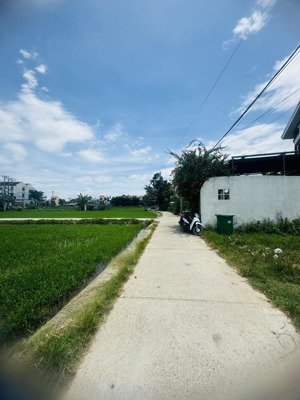 view lúa mặt trước mặt sau khu vực nhiều villa khách sạn, vị trí đẹp , dân trí cao , không lụt