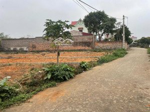 lô đất hơn 700 triệu đường oto ngay nhà máy điện tử 10ha đang hoàn thiện tại lục nam - bắc giang