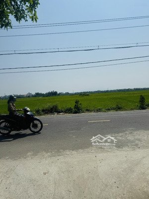 view lúa phía sau siêu phẩm còn sót lại duy nhất tại làng an mỹ cẩm châu, khu phố người nước ngoài