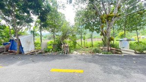 đất ở lâm sơn ngay trung tâm tái định cư bước ra là đến ql6 giá chỉ 1,25 tỷ!