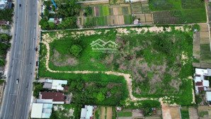 sản phẩm lớn 16561m2 mặt tiền quốc lộ 51, phường kim dinh, thành phố bà rịa