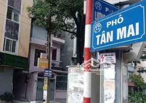 nhà lô góc phố tân mai - ô tô đỗ cửa - nội thất đẹp - nhỉnh 6 tỷ