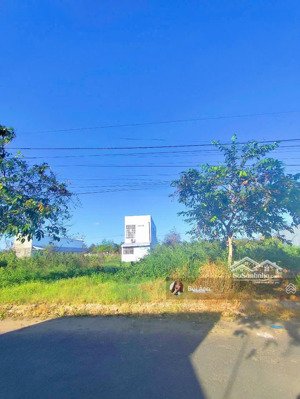bán gấp đất ngay cao đăng y tế cà mau 580triệu/120m2, đ.cao triều phát, p.8, tp.cà mau, shr, thổ cư