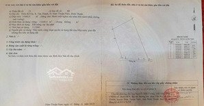 bán gấp lô 1.16ha kê gà bên đồi cao view trọn biển kê gà chỉ 1tr2/m2 thương lượng