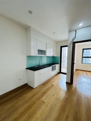 cần bán căn 1pn 45m2 đã có sổ hồng, hỗ trợ vay ngân hàng