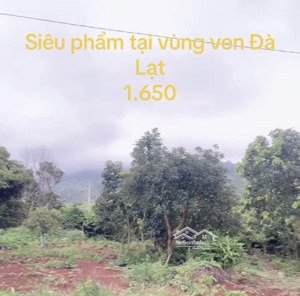 bán đất tại xã đông thanh, lâm hà. đất diện tích rộng, giá cực mềm. đất vuông vức, đường rộng, đẹp