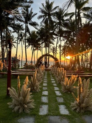 bán trang trại, khu nghỉ dưỡng ở hàm tiến, phan thiết, bình thuận, giá cực chất 115 tỷ, 9000 m2