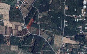 bán đất tại xã hưng thuận, trảng bàng, tây ninh, giá 2,9 tỷ, diện tích 2461 m2 - uy tín hot!