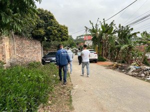 chính chủ cần bán 2 lô đất thôn bảo tháp, đông cứu, gia bình, bắc ninh giá đầu tư 