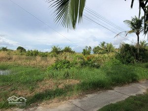 gia đình cần bán đất gần cầu bạch ngưu, đường ngô quyền, tp cà mau
