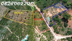Chính chủ bán nhanh 5518m2 đất tại Xuân Trường, Đà Lạt, giá 4.5 tỷ