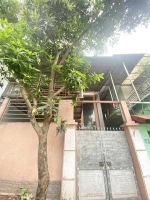 cho thuê nhà 100m2 x2 tầng phố thuý lĩnh-lĩnh nam, hoàng mai
