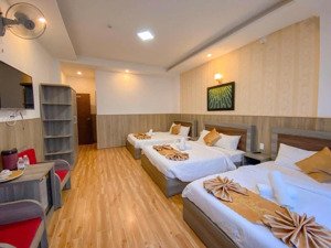 sở hữu nhanh tay căn biệt thự mặt tiền vạn hạnh giá siêu tốt tại đà lạt cần bán khẩn cấp