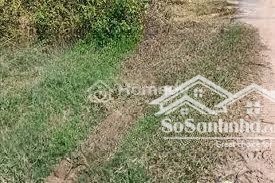 đất đẹp tân tiến full hạ tầng gần trường chợ 1.4 tỷ