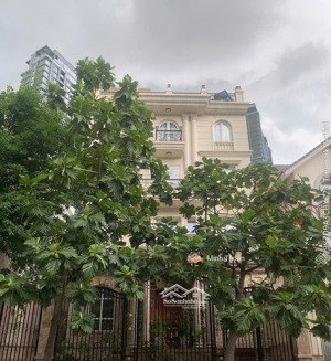 hot nhất lúc này ! bt 5 tầng - mt giang văn minh - dts: 625m2 - full nt nhập - giá chỉ 95 tỷ