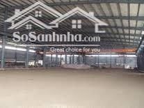 Cho thuê nhà xưởng 7650m2 ngoài khu công nghiệp Bàu Bàng, Bình Dương