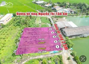 5X30 150M2 Đất Kế Chợ Bình Lãng Đường Xe Hơi Tại Bình Lãng Tân Trụ Long An